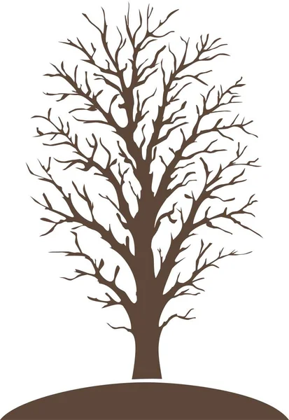 Sílhueta Árvore Sem Folhas Inverno — Fotografia de Stock