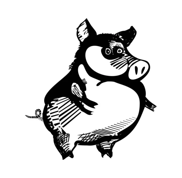 面白い豚漫画のキャラクター — ストック写真