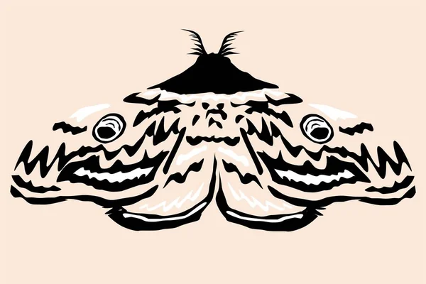 Moth Insecto Ilustración Simple —  Fotos de Stock