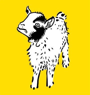 Küçük şirin beyaz keçi, çizgi film çizimi