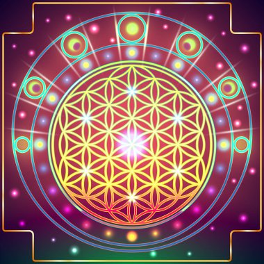 Wlower hayat ayın evreleri