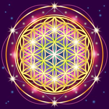 Yaşamın kutsal geometri çiçek