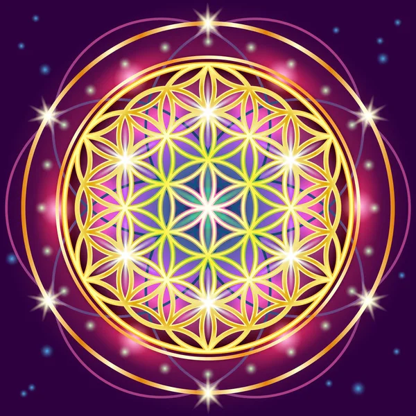 生命の神聖な幾何学の花 — ストックベクタ