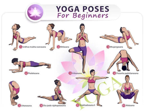 Yoga para Principiantes II — Archivo Imágenes Vectoriales