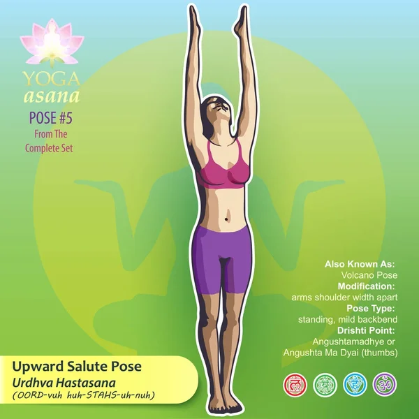 Yoga saludo Pose 5 — Archivo Imágenes Vectoriales