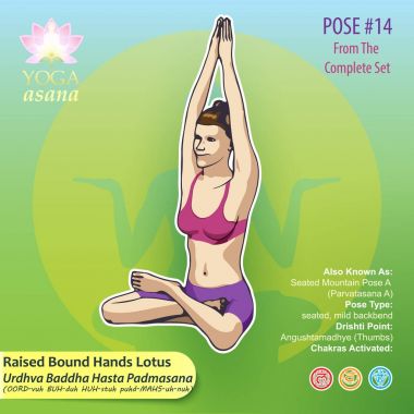 Yoga el Lotus poz poz 14