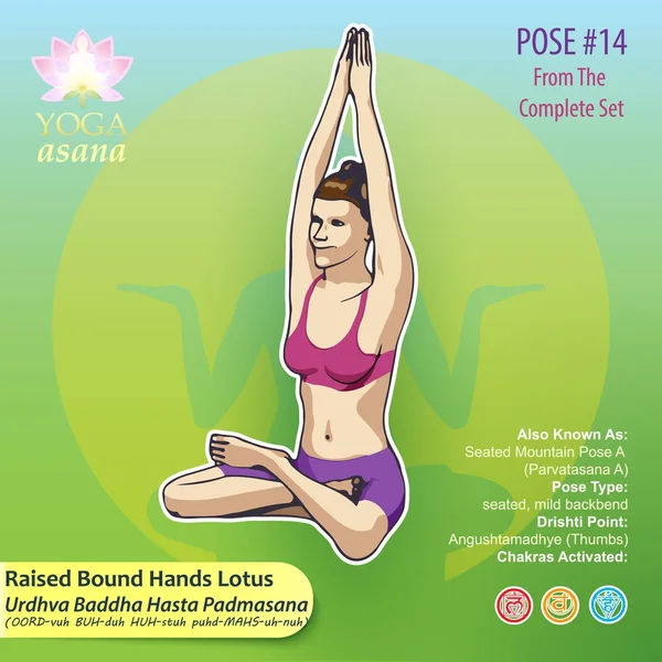 Manos de yoga Lotus Pose Pose 14 — Vector de stock