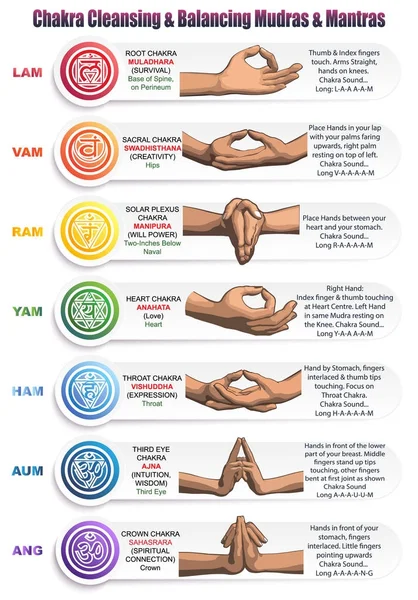 Chakras Mudras & Mantras — Image vectorielle