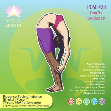 28 yoga ters yoğun streç karşı karşıya