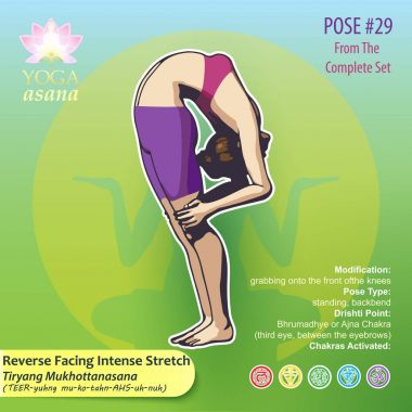 29 yoga Tiryang Mukhottanasana