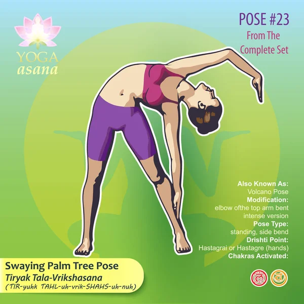 23 yoga sallanan palmiye ağacı — Stok Vektör