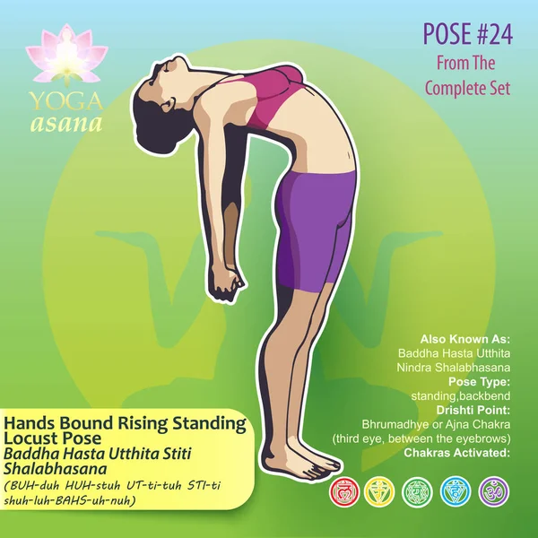 24 yoga eller düşüyor bağlanmış — Stok Vektör