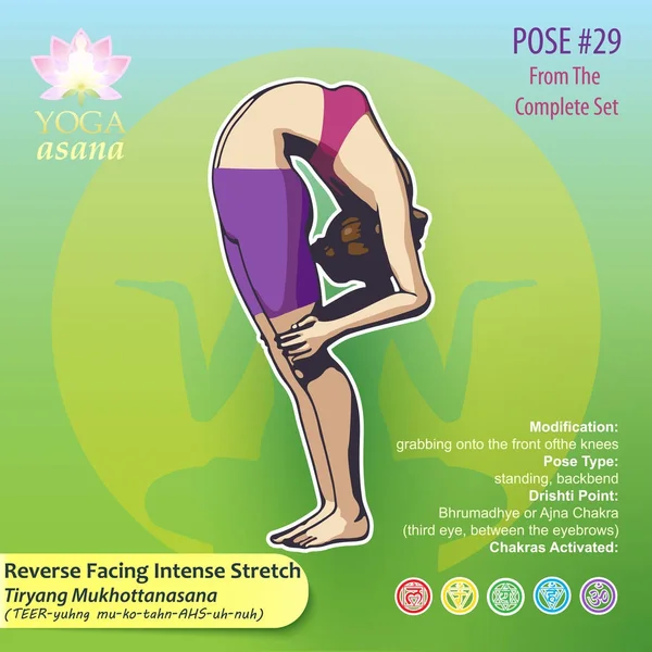 Yoga 29 Tiryang Mukhottanasana — Vector de stock