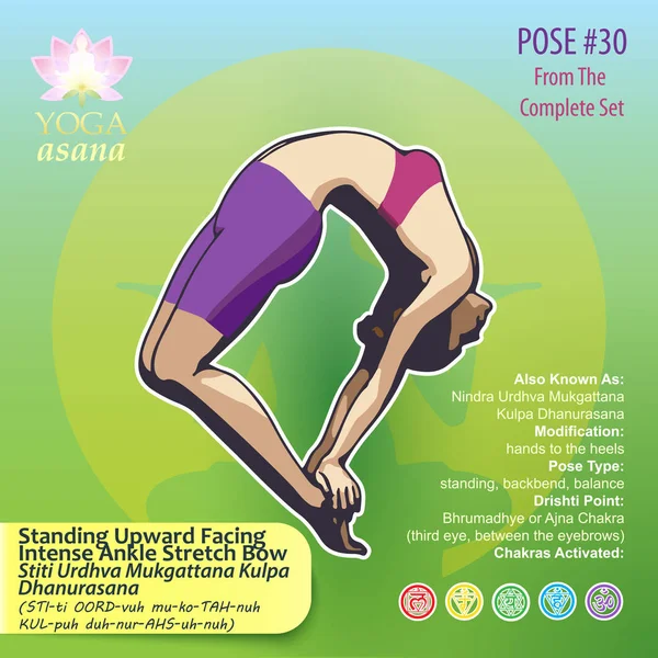 Anagha Yoga Poses Posters|Sturdy and Both Side Laminated| Yoga Educational  Posters for Parents and Kids|Home Workout Posters with Coloured  Illustrations (19