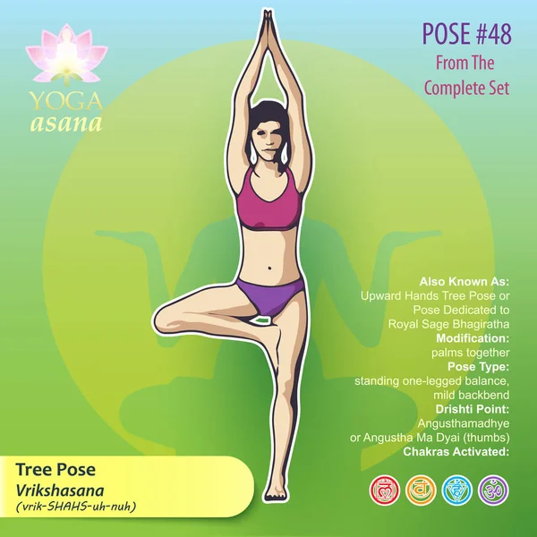 48 Árbol Pose — Vector de stock