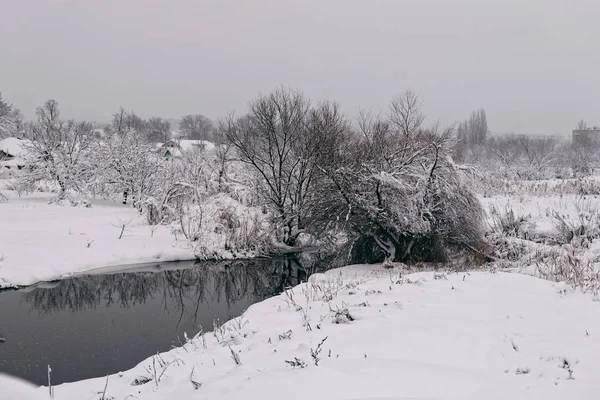 Зимний пейзаж с прудом 2 — стоковое фото