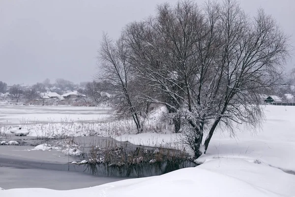 Зимний пейзаж с прудом — стоковое фото