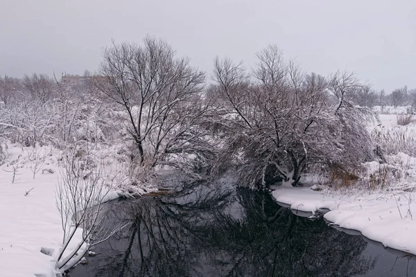 Зимовий пейзаж зі ставком3 — стокове фото