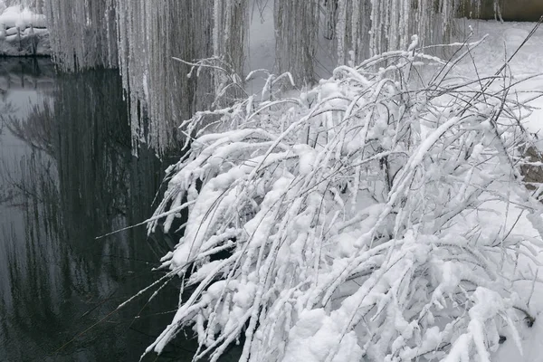 Winterlandschaft mit Teich 5 — Stockfoto