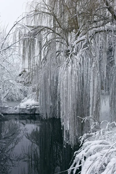 Зимний пейзаж с прудом 4 — стоковое фото