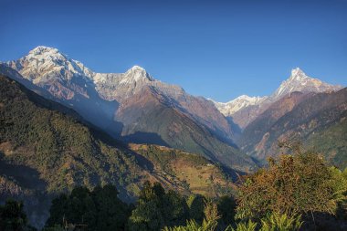 Nepal'de trekking Annapurna kamp