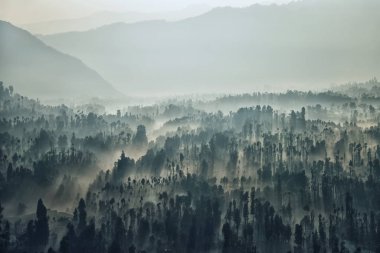 Bromo Milli Parkı manzara sabah