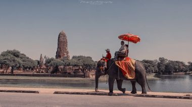 Kasım 2015 - ayutthaya, Tayland - fil sürmek Ayutthaya ruins çevresinde
