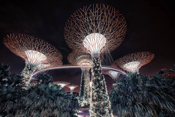Jardines Cerca Bahía Singapur — Foto de Stock