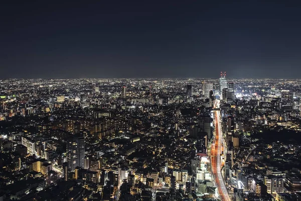Tokyo City Viewed High Night Japan — Stock fotografie