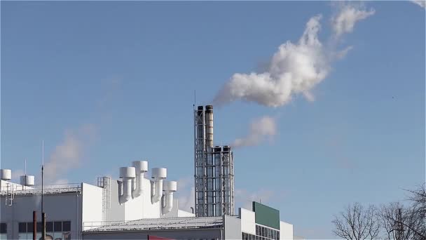 Smoke City Power Plant Chimney Blue Sky Background — Stock Video