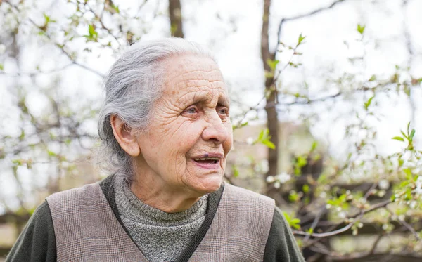 引退した高齢者女性 — ストック写真