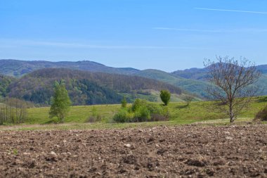 Transilvanian kırsal Romanya