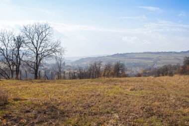 Kuru ağaçlar ve Transilvania gökyüzünde