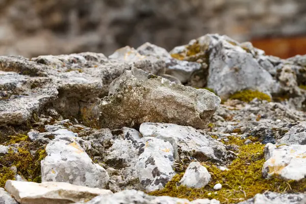 Stone & moss närbild — Stockfoto