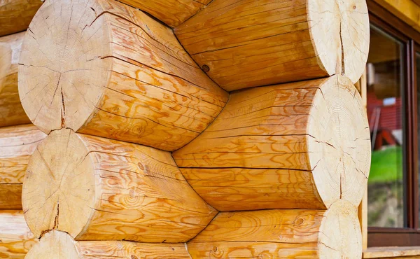 Wooden texture close up