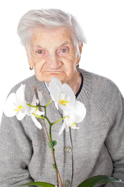老年女性拿着一朵兰花 — 图库照片