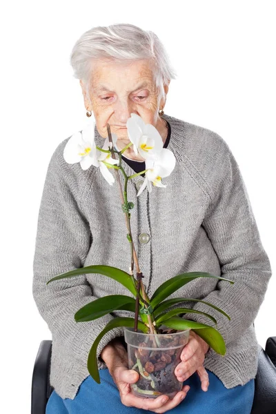 Ältere Frau hält eine Orchidee — Stockfoto