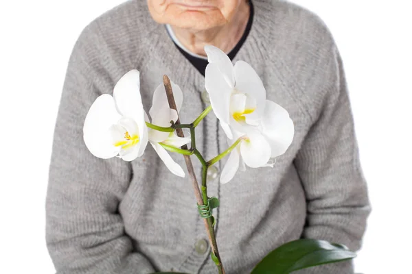 Ältere Frau hält eine Orchidee — Stockfoto