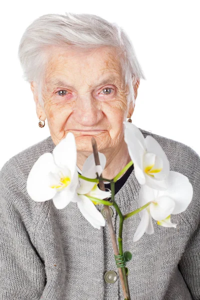 高齢者女性の蘭の花を保持 — ストック写真