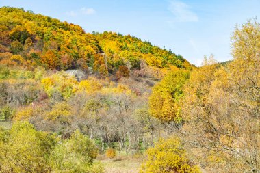 Güzel bir sonbahar kırsal manzara