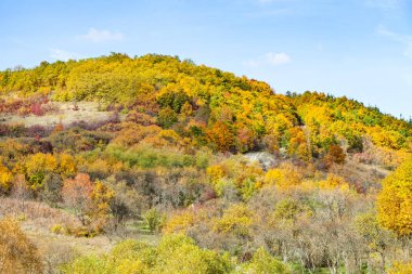Güzel bir sonbahar kırsal manzara