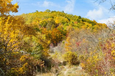 Güzel bir sonbahar kırsal manzara