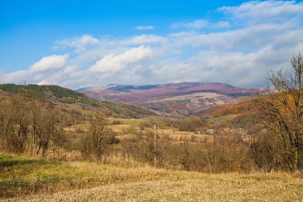 Suché stromy a obloha v Transilvania — Stock fotografie