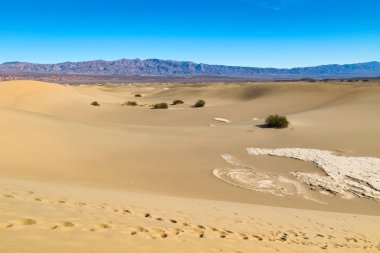 Arizona, çölde bize