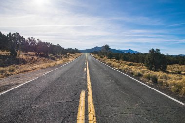 Arizona, ABD eyalet yol