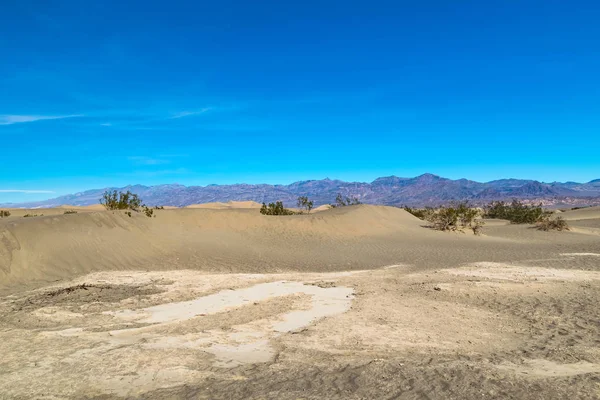 Deserto no Arizona, EUA — Fotografia de Stock