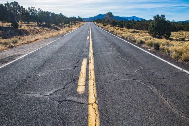 Arizona, ABD eyalet yol