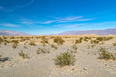 Arizona, çölde bize