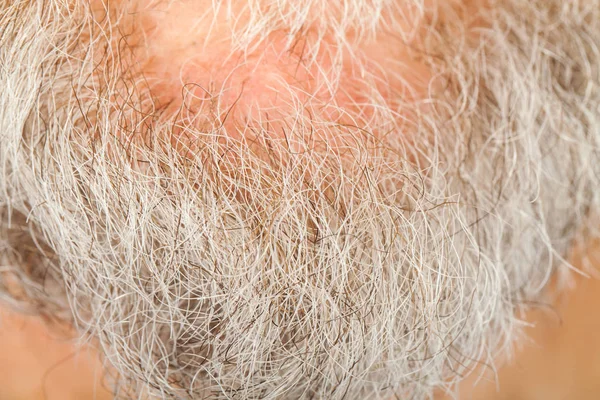 Starszy człowiek szarego brodę na podbródek — Zdjęcie stockowe