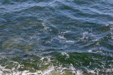 Splash buzlu dalgalar 